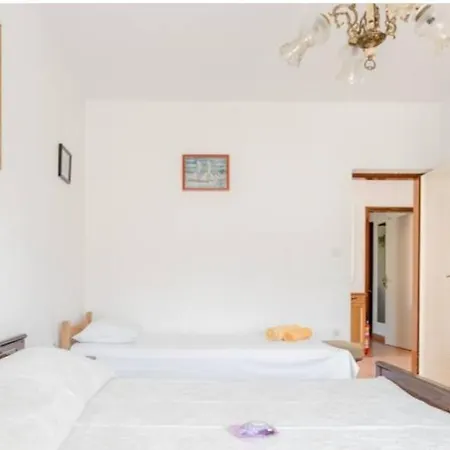 Apartman Vinko * 젤사